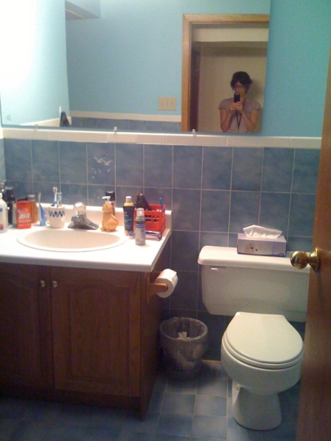 Stouffville Painter bathroom